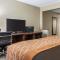 Comfort Inn Blue Ash North