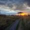 Mawe Tented Camp - 塞伦盖蒂