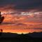 25 Acre Hummingbird Ranch Birdwatching/360 MTN Views/Dark Starry Nights/Arizona - Pearce