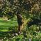 Lammas Retreat in Minchinhampton