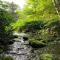 Stream House (The Lorca, Catskills)