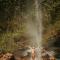 Cachoeira do Macuco Boutique Hotel