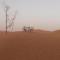 Merzouga Prestige Camp - Merzouga