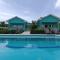 Blue Lizard House