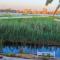 Royal Nile Villas - Nile View Apartment 2 - 卢克索