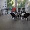 Samana house