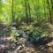 Gîte de Trasenster