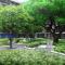 Sky Park Laguna 1 bedroom Golf View