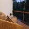 The Canas Coorg
