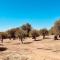 Monte do Pópulo - Estremoz