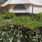 Hvězdný glamping
