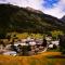 French Alps Luxury - Vallorcine