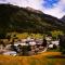 French Alps Luxury