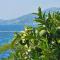 Orange Tree Mediterranean Beachfront House - Neum