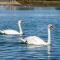 Finest Retreats - Kings Wharf - Luxury Riverside Home