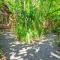 Coconut Tree Cottages Coconut Tree Cottages