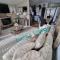 Lucys Lodge