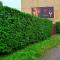 Apartament Park Śląski