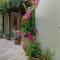 Mavrogenis Farm Chania Crete