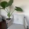 Panorama ananuri guest house