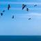 casaNorte paraíso norteño mirador de Ballenas - Canoas De Punta Sal