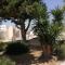 Villa Emilia Lido Marini
