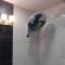 Tsim Sha Tsui Bedrooms - Hong Kong