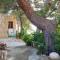 Dana Moon Hostel