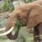 Indalu Game Reserve