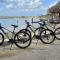 Bonaire 2 Stay Playa