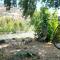 Oasis Riverfront House -10 min to Sequoia - Three Rivers
