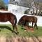 Courtyard on Weder - Greyton