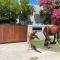 Courtyard on Weder - Greyton