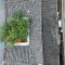 Dongmyo Hanok Sihwadang - Private Korean Style House in the City Center with a Beautiful Garden - Seul
