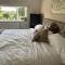 5 Bedroom 4 Bathroom Gym Playroom Country Home