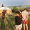 Song Kol Horse Riding Flex Travel Guests House