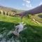 Zlatibor Wild nest Rabbit Lux - Zlatibor