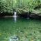 RIVER PARADISE