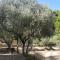 Villa CIGALONS en pleine pinède avec PISCINE chauffée de mai à septembre - Auriol