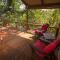 Lion Tree Top Lodge