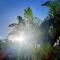 Ocean Properties ApartHotel and Villas