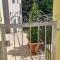 LUCCA HOLIDAY RENTAL- BY THE WALLS n 395