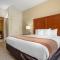 Comfort Inn & Suites Daphne Spanish Fort - Mobile East
