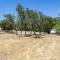 Twin Falls Luxury Glamping - Adventure Tent
