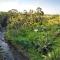 Villa with amazing rice field view between Canggu and Ubud - Penebel