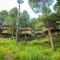 The Woods Retreat