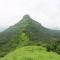 Shinde's Tikona Valley Farm - Pune