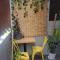 Newly Renovated 2 Bedroom Apartment #7