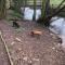 Pet Friendly Cottage Ashbourne with Parking