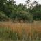Bay Point Hideaway in the Woods - Beulah